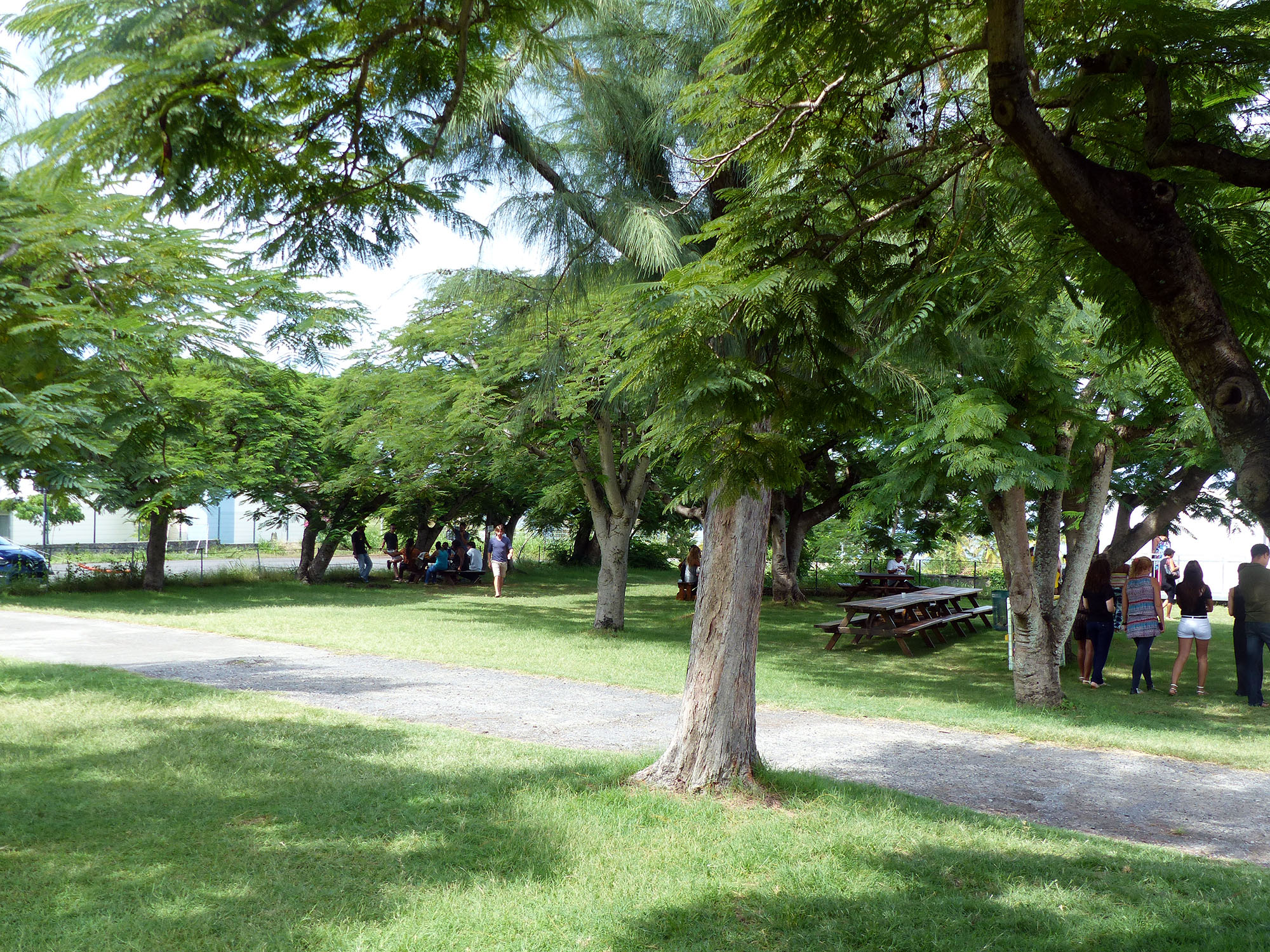 jardins